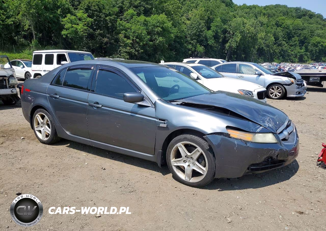 2005 Acura Tl VIN:19UUA66255A007409 - 4