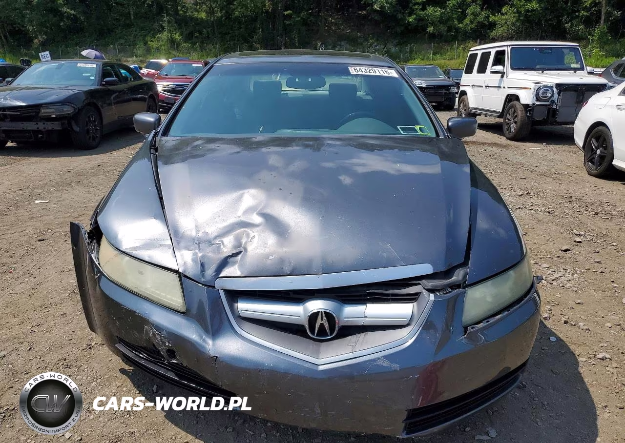 2005 Acura Tl VIN:19UUA66255A007409 - 5
