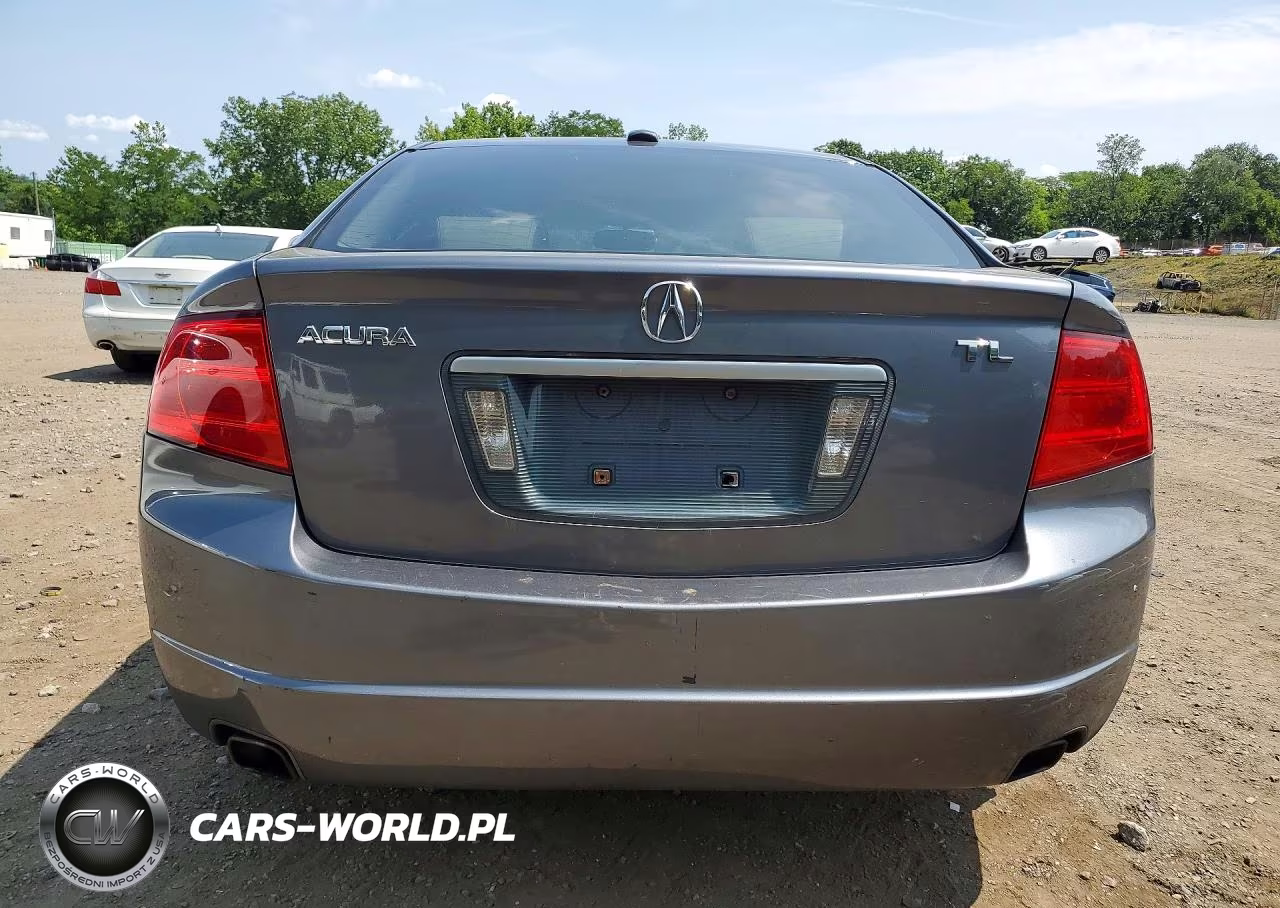 2005 Acura Tl VIN:19UUA66255A007409 - 6