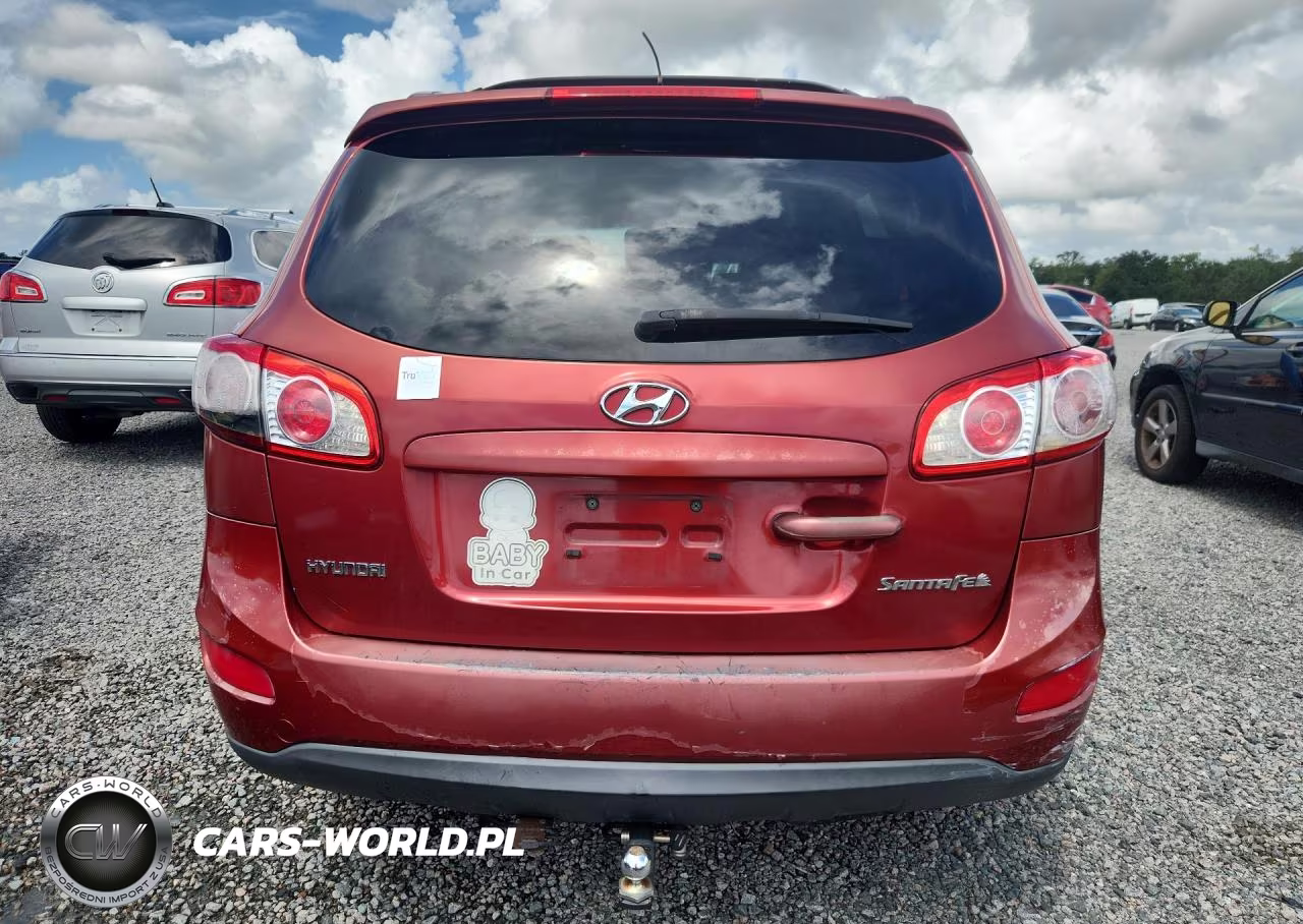2010 Hyundai Santa Fe Se VIN:5NMSH4AG7AH392125 - 6