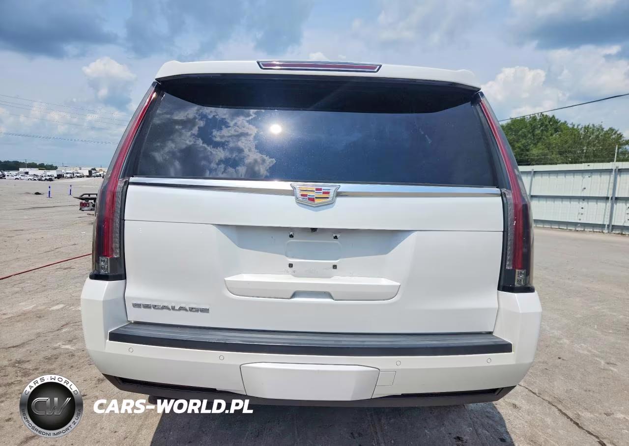 2016 Cadillac Escalade Luxury VIN:1GYS4BKJ9GR383807 - 6
