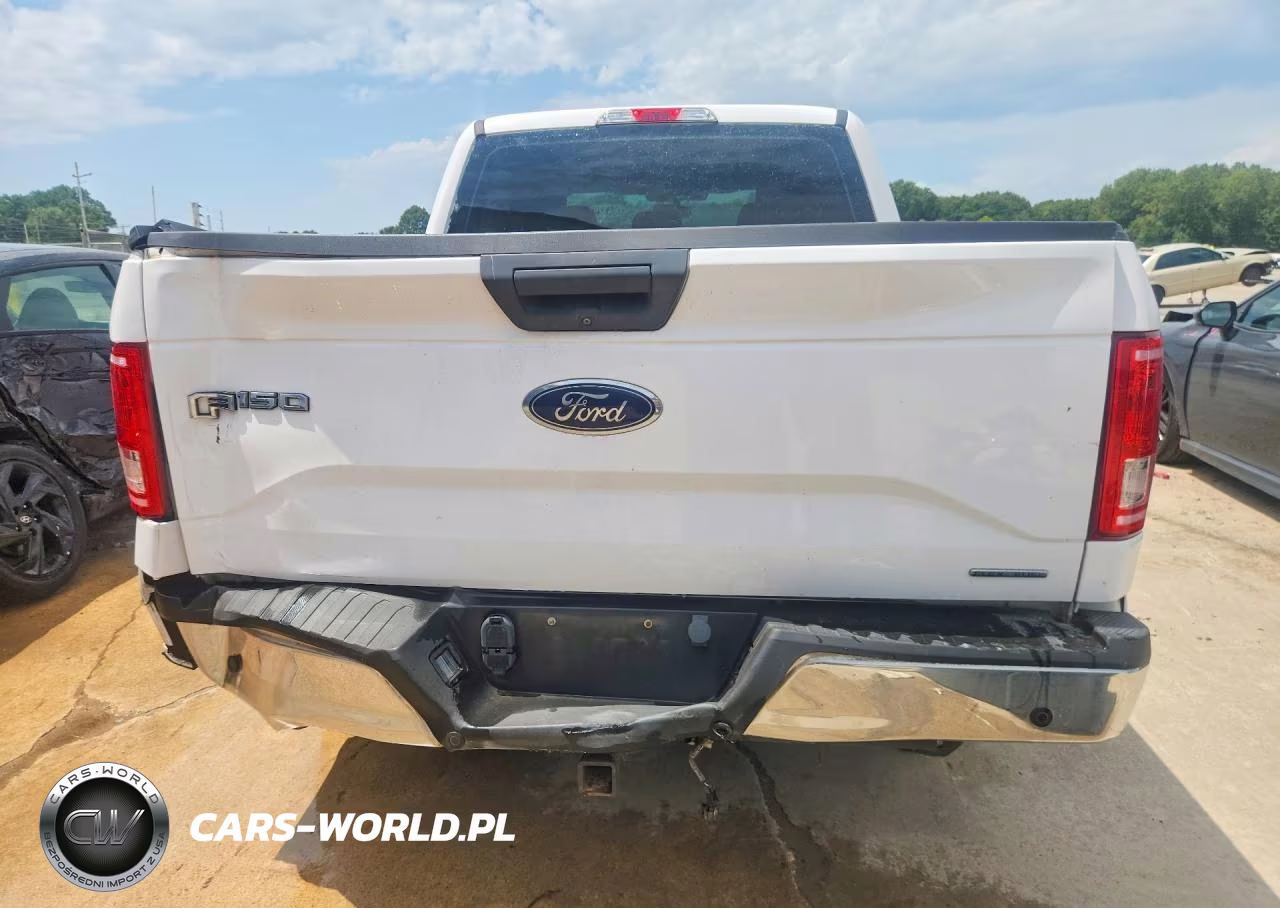 2015 Ford F150 Supercrew VIN:1FTEW1C83FKF08455 - 6