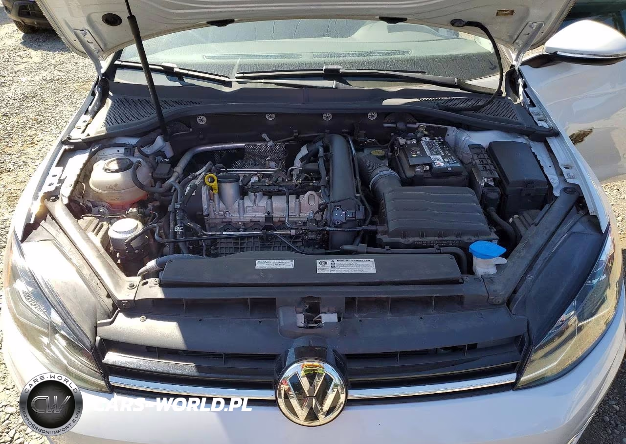 2019 Volkswagen Golf Sportwagen S VIN:3VWY57AU4KM507852 - 12