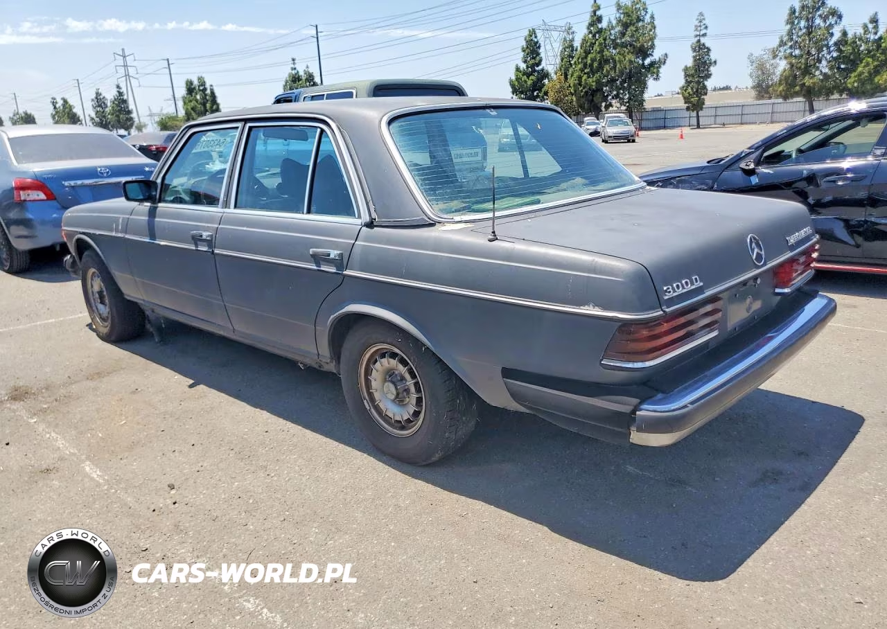 1983 Mercedes-Benz 300 Dt VIN:WDBAB33A2DB031019 - 2