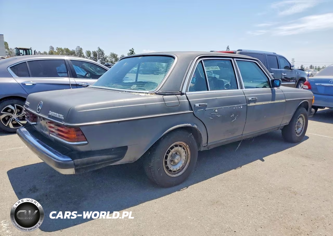 1983 Mercedes-Benz 300 Dt VIN:WDBAB33A2DB031019 - 3