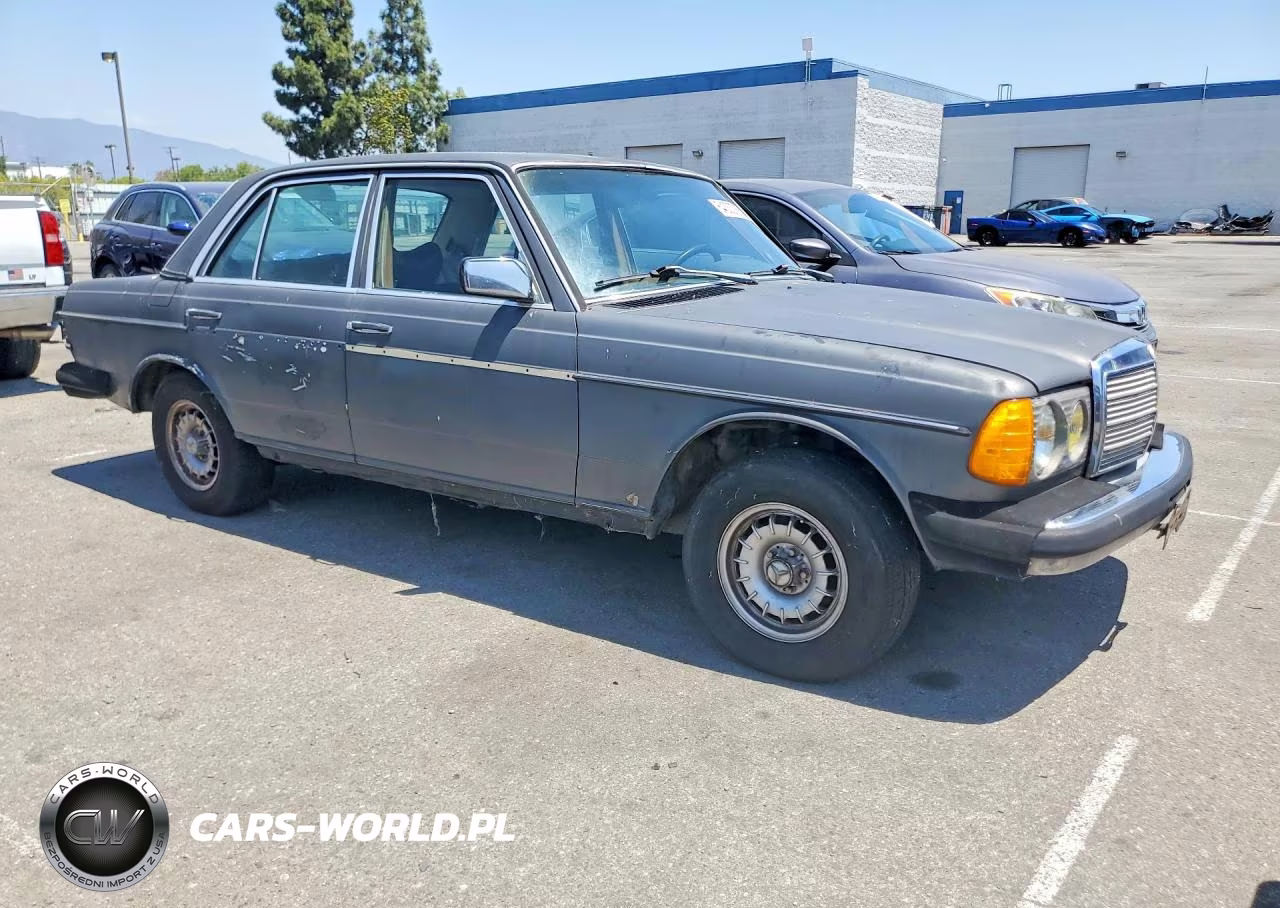 1983 Mercedes-Benz 300 Dt VIN:WDBAB33A2DB031019 - 4