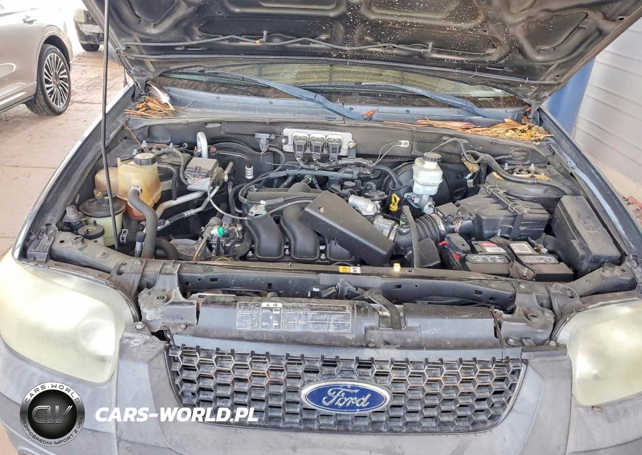 2006 Ford Escape Xlt VIN:1FMCU031X6KA46854 - 11