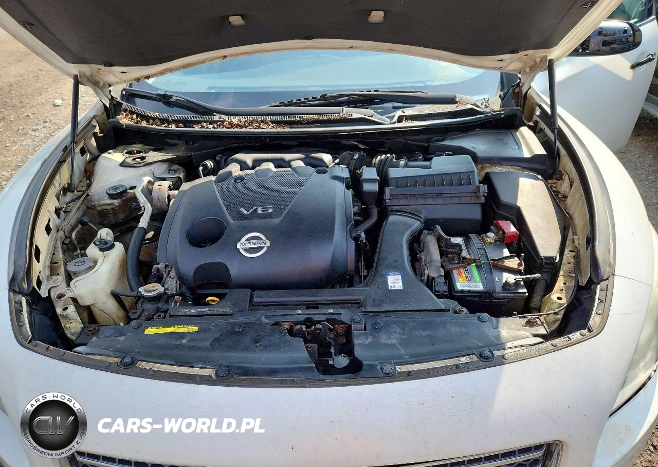 2009 Nissan Maxima 3.5 S VIN:1N4AA51E29C829954 - 11
