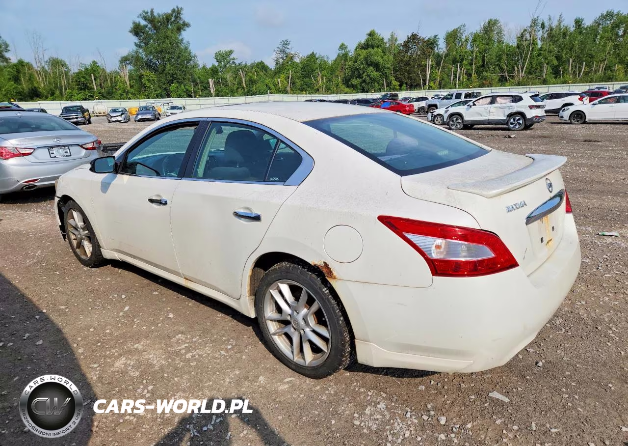 2009 Nissan Maxima 3.5 S VIN:1N4AA51E29C829954 - 2