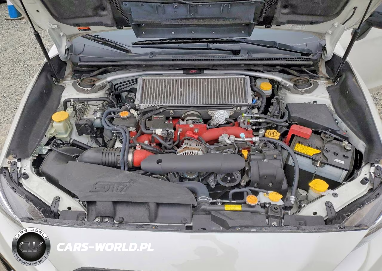 2019 Subaru Wrx Sti S209 VIN:JF1VA2Z68K9828629 - 11