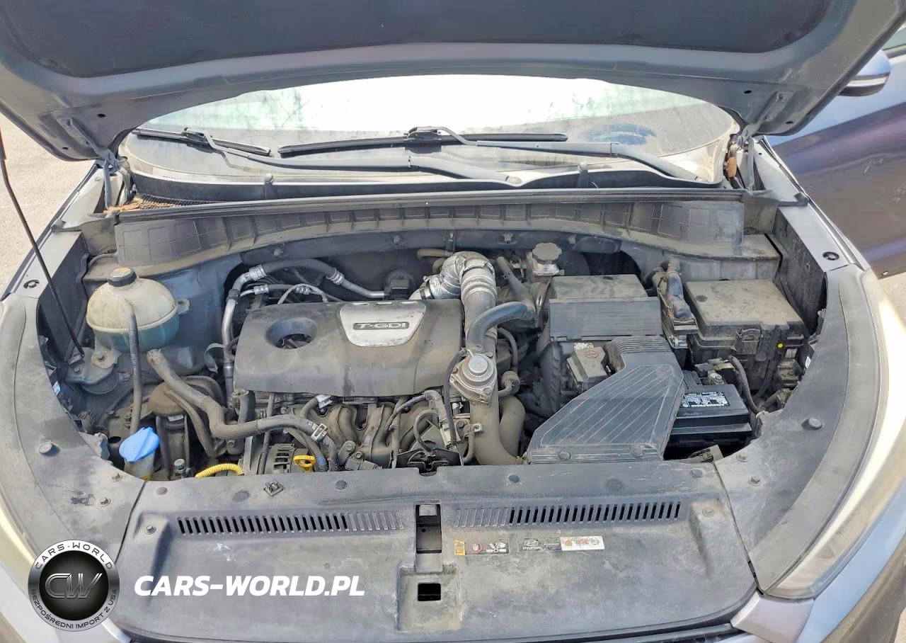 2017 Hyundai Tucson Eco VIN:KM8J33A23HU367102 - 12