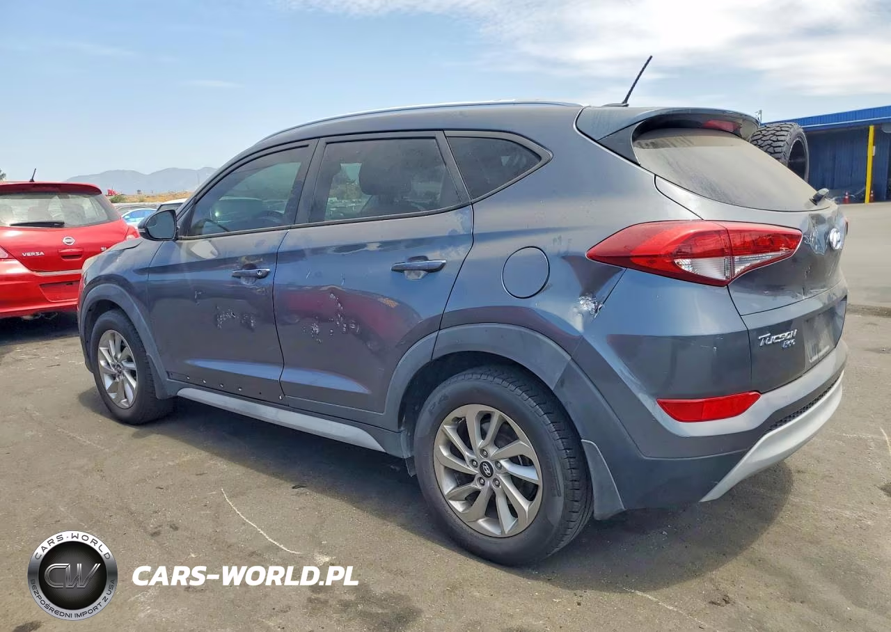 2017 Hyundai Tucson Eco VIN:KM8J33A23HU367102 - 2