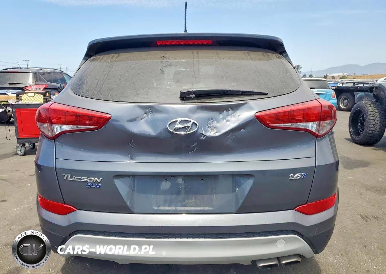 2017 Hyundai Tucson Eco VIN:KM8J33A23HU367102 - 6