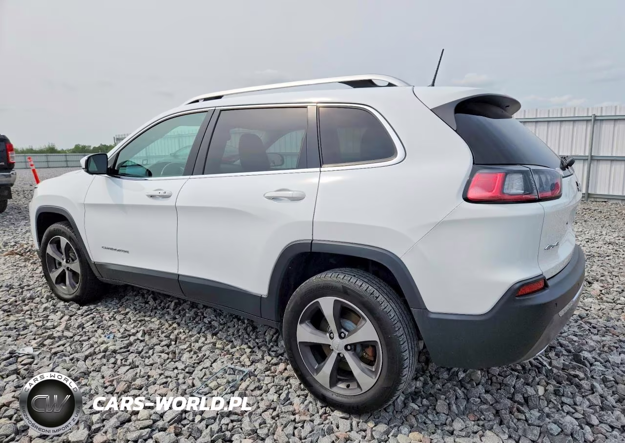 2019 Jeep Cherokee Limited VIN:1C4PJMDN1KD321971 - 2