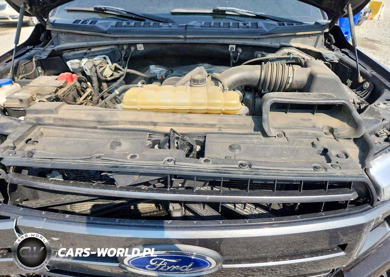 2019 Ford F150 Supercrew VIN:1FTEW1E50KFB72771 - 11