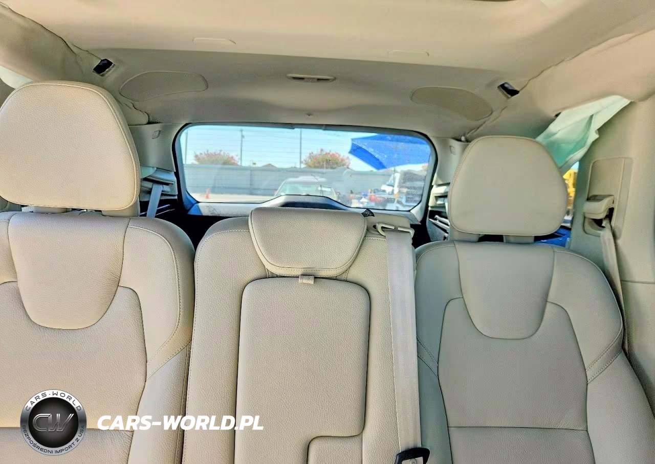 2023 Volvo Xc90 Plus VIN:YV4L12PNXP1985593 - 10