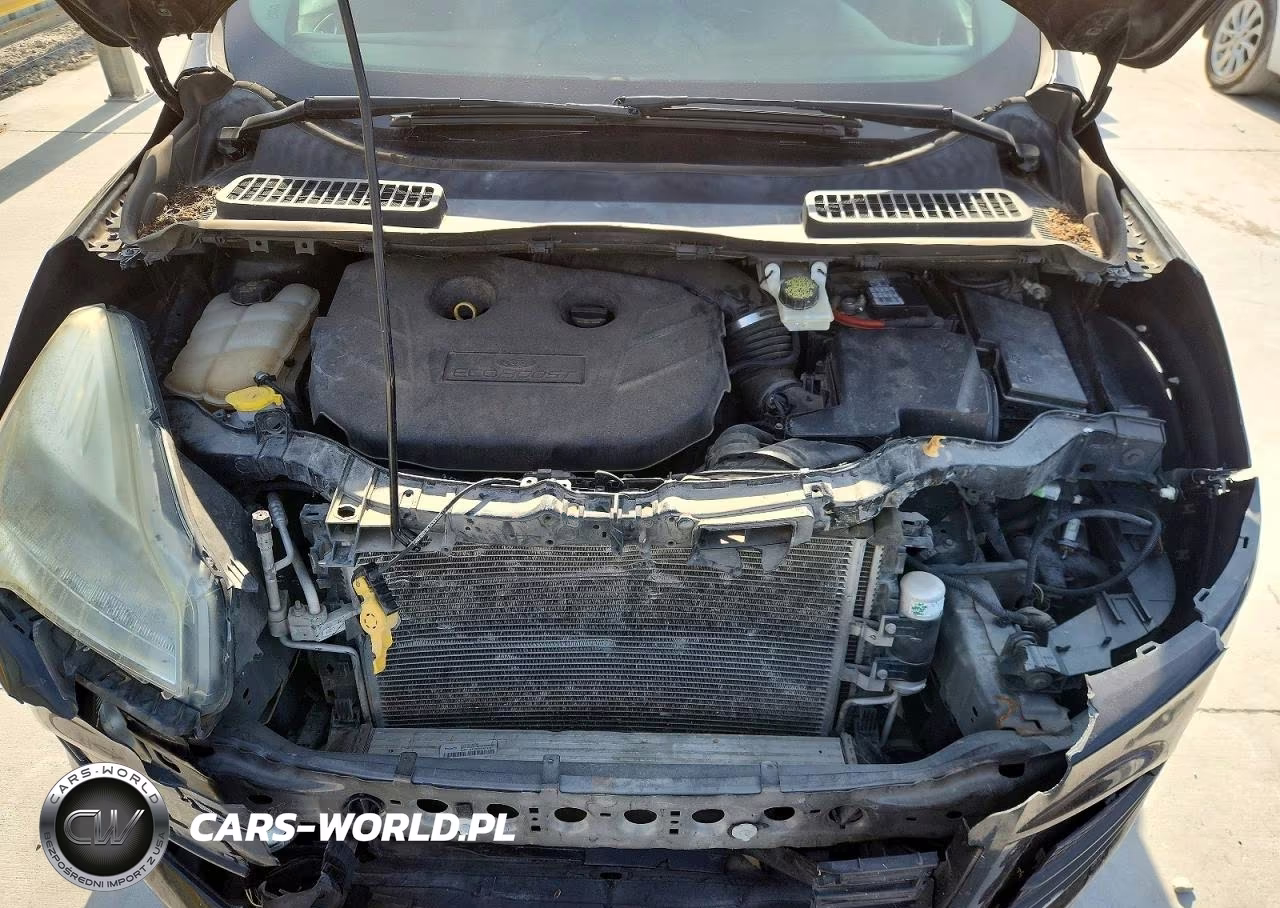 2016 Ford Escape Se VIN:1FMCU0G9XGUA00107 - 12