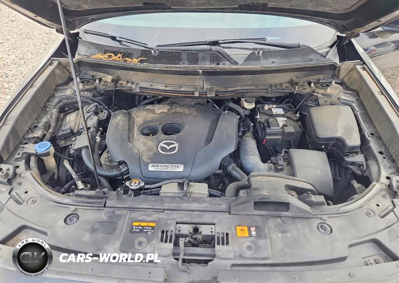 2016 Mazda Cx-9 Signature VIN:JM3TCBEY7G0125108 - 11