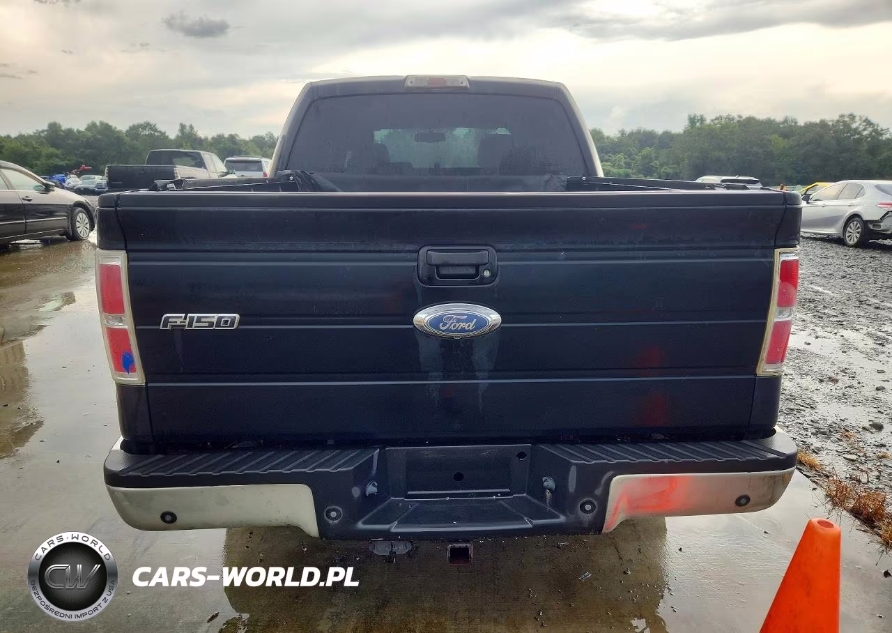 2009 Ford F150 Supercrew VIN:1FTPW12V59FB13898 - 6