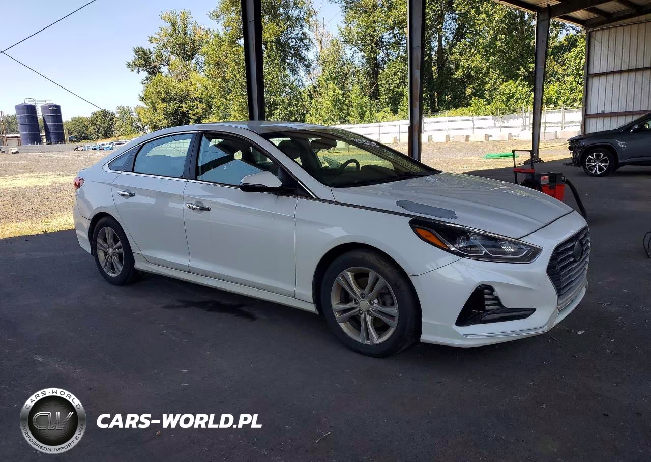 2018 Hyundai Sonata Sel VIN:5NPE34AF2JH606413 - 4