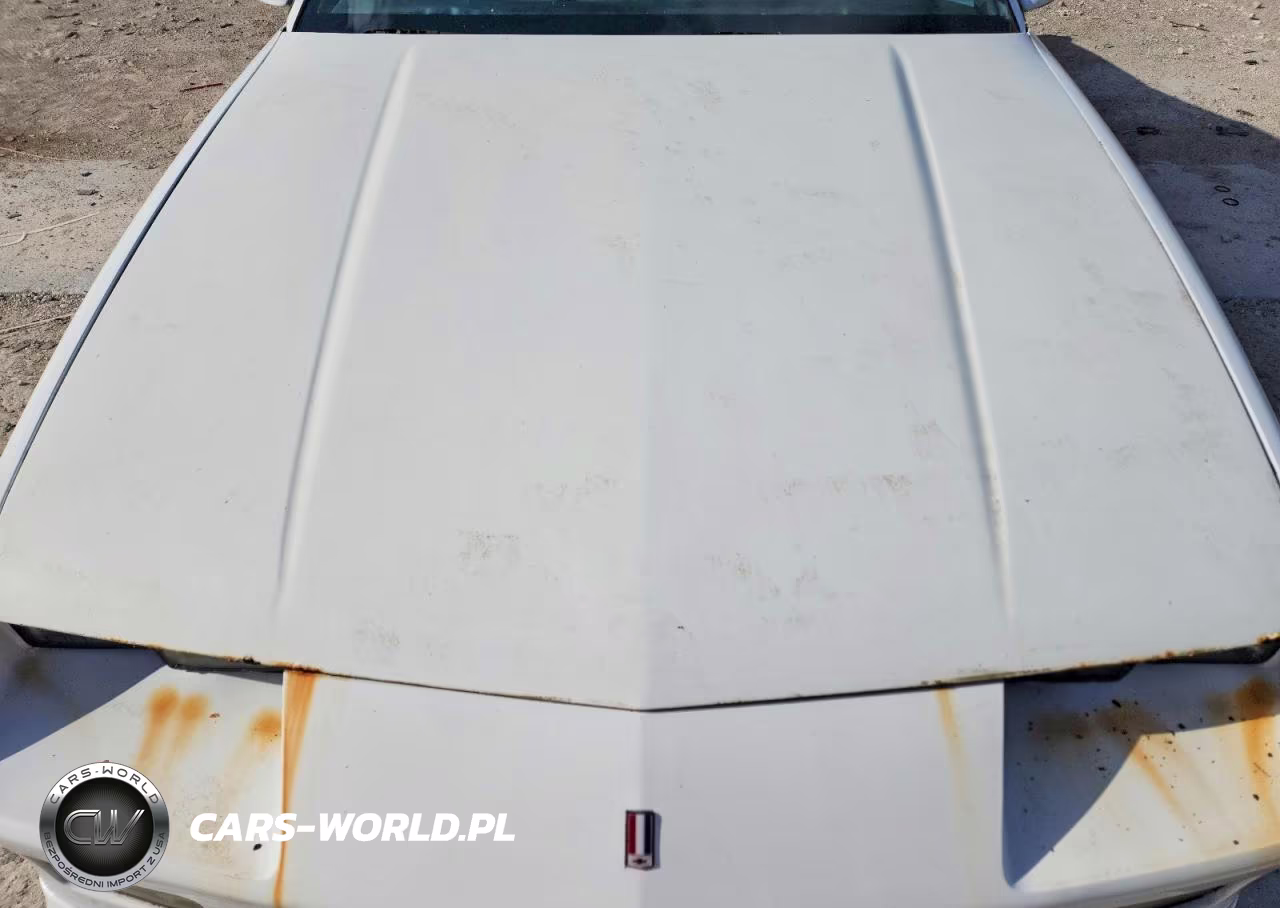 1991 Chevrolet Camaro Rs VIN:1G1FP23E0ML128891 - 11