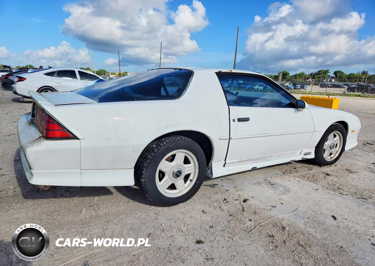 1991 Chevrolet Camaro Rs VIN:1G1FP23E0ML128891 - 3