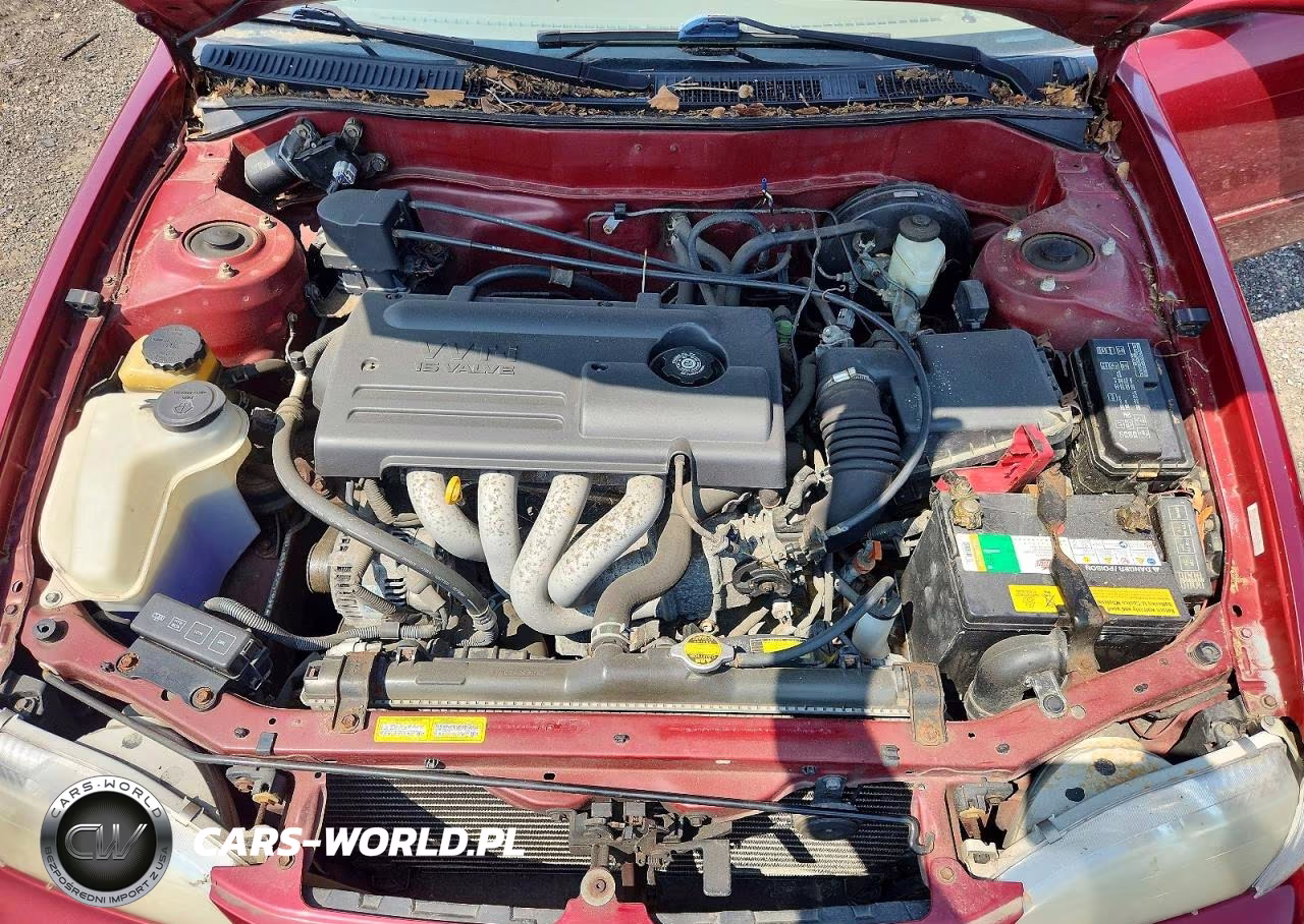 2000 Toyota Corolla Ve VIN:2T1BR18E8YC326313 - 11