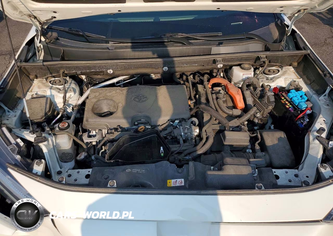2022 Toyota Rav4 Xse VIN:4T3E6RFV5NU092446 - 12