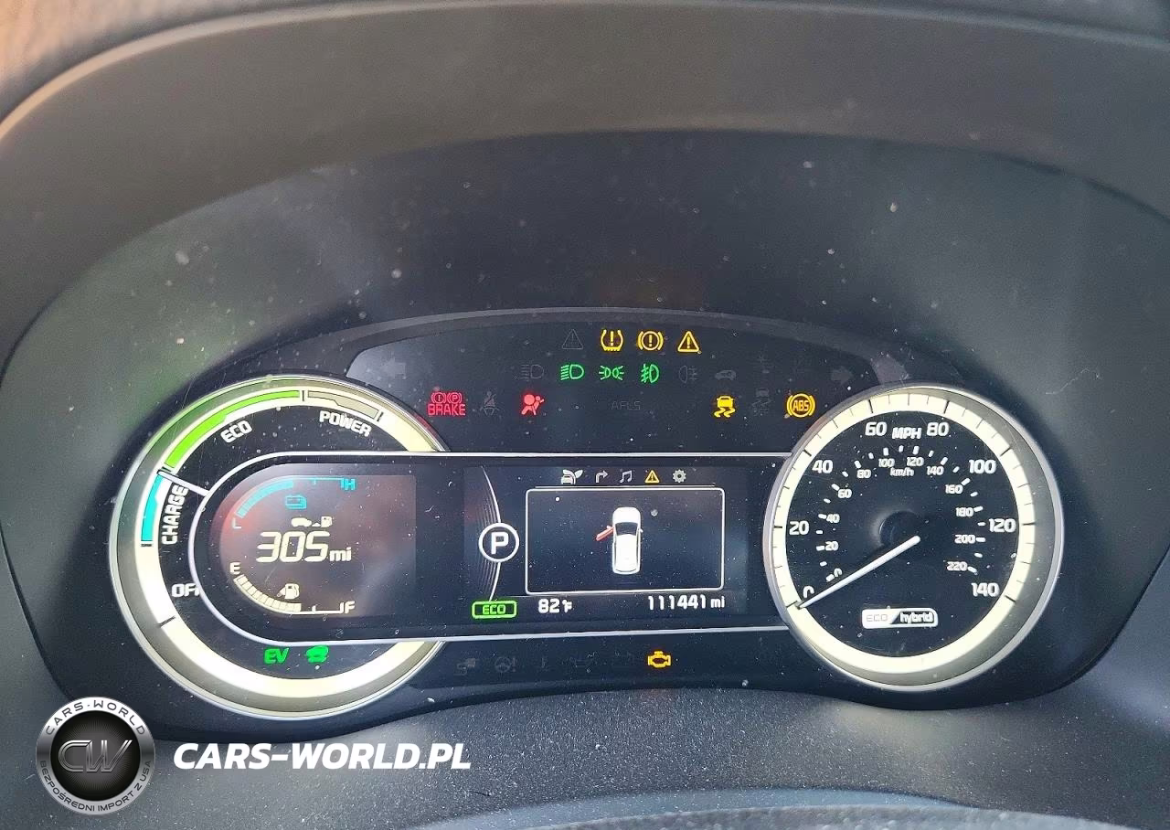 2019 Kia Niro S Touring VIN:KNDCC3LC3K5255971 - 9