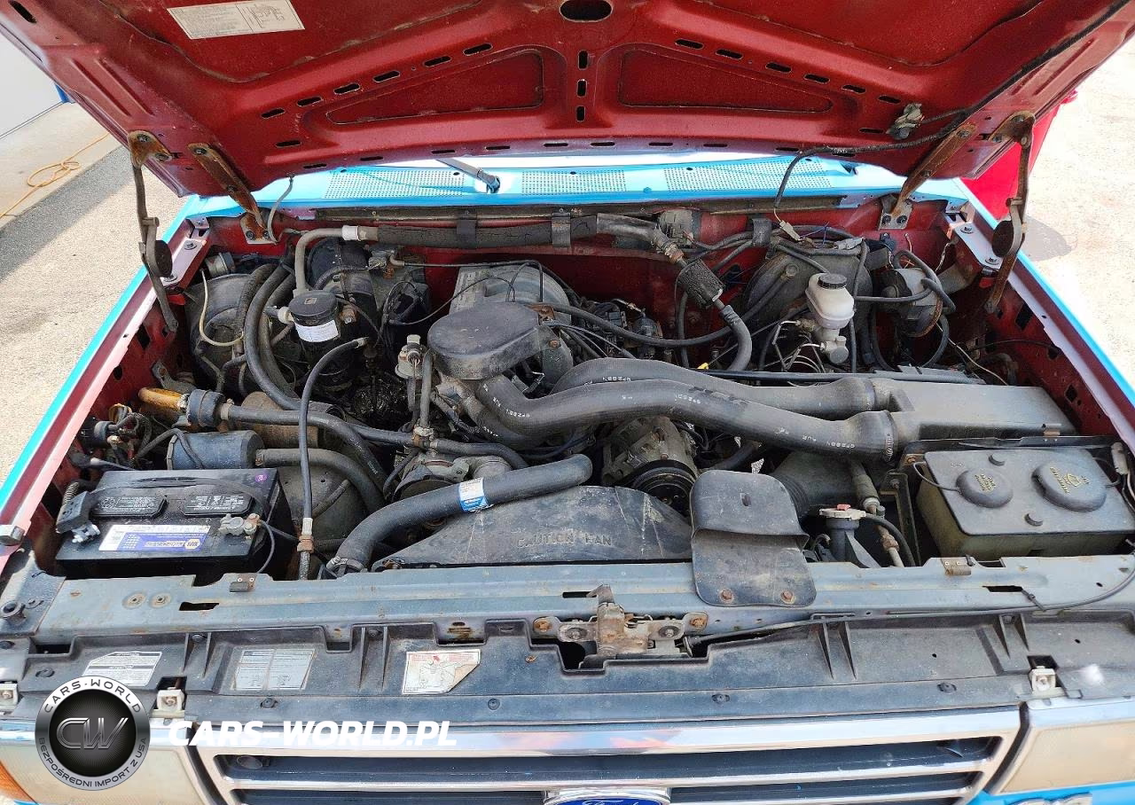 1990 Ford Bronco U100 VIN:1FMEU15N7LLA15209 - 12