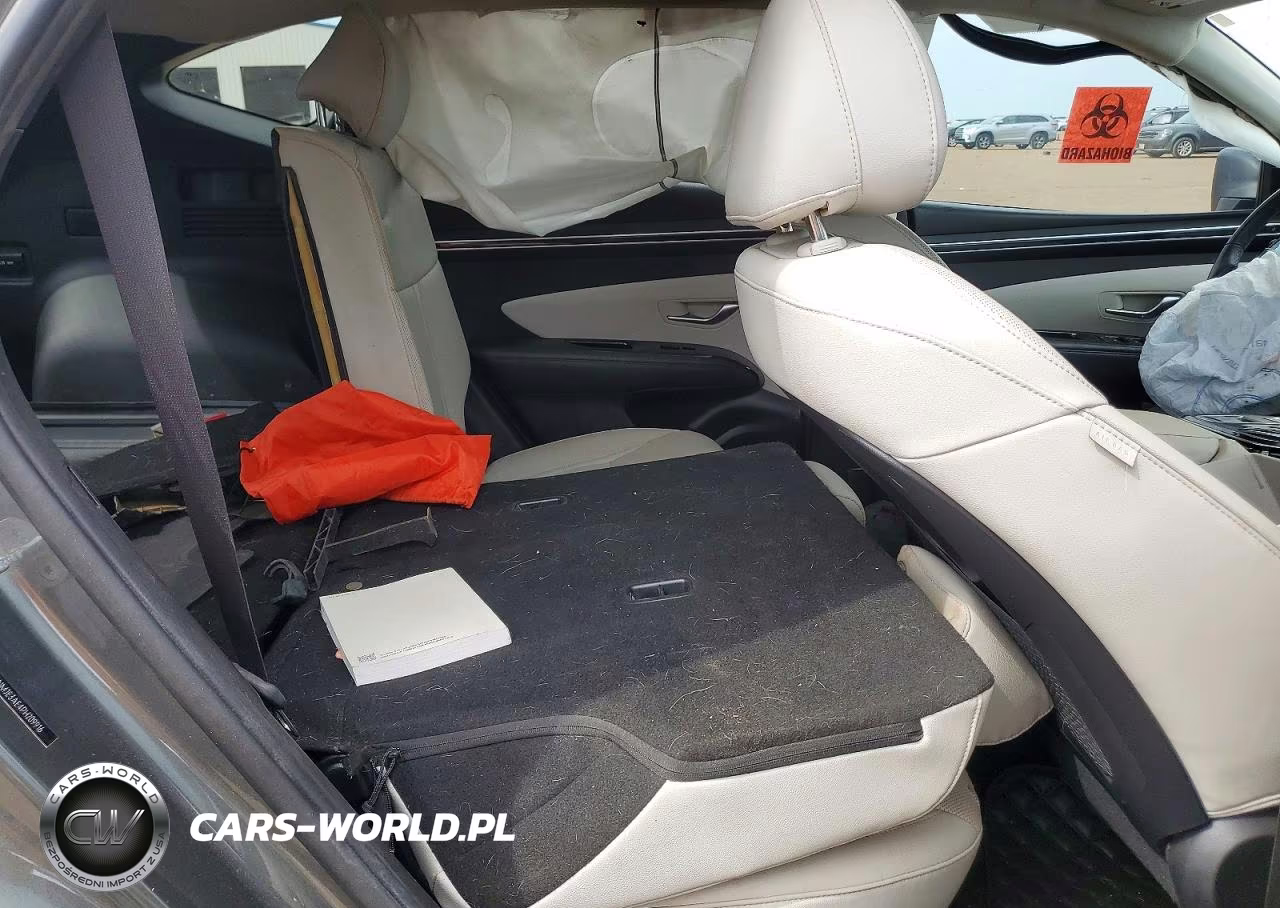 2023 Hyundai Tucson Limited VIN:5NMJE3AE4PH209916 - 10
