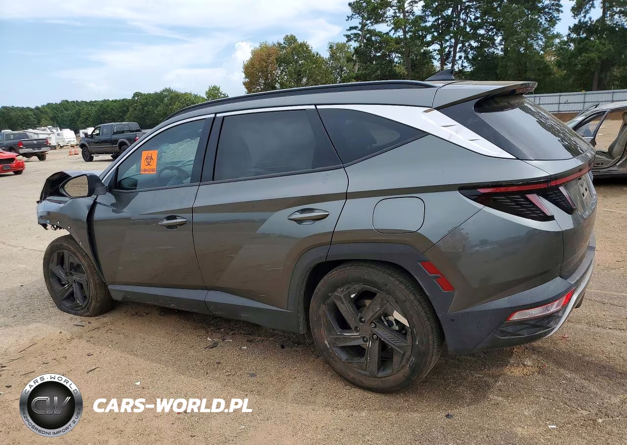 2023 Hyundai Tucson Limited VIN:5NMJE3AE4PH209916 - 2