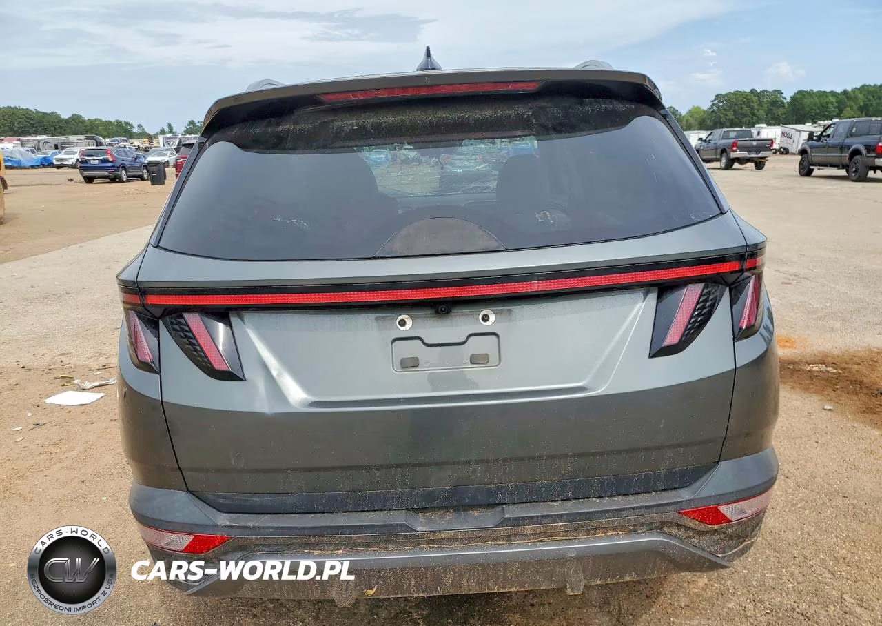 2023 Hyundai Tucson Limited VIN:5NMJE3AE4PH209916 - 6