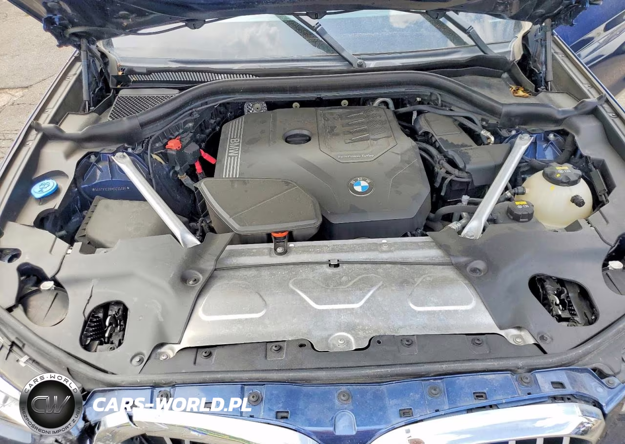 2021 BMW X4 xDrive30I VIN:5UX2V1C08M9E85096 - 12