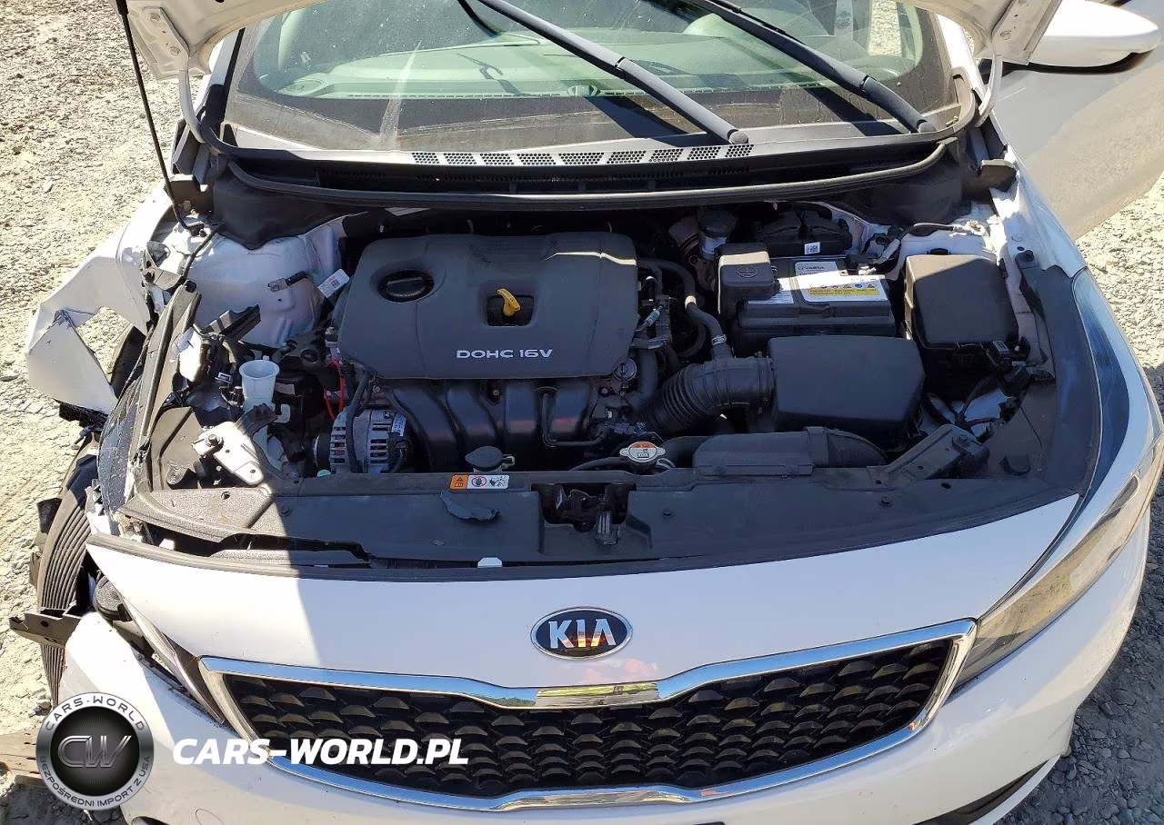 2018 Kia Forte Lx VIN:3KPFK4A72JE281413 - 11