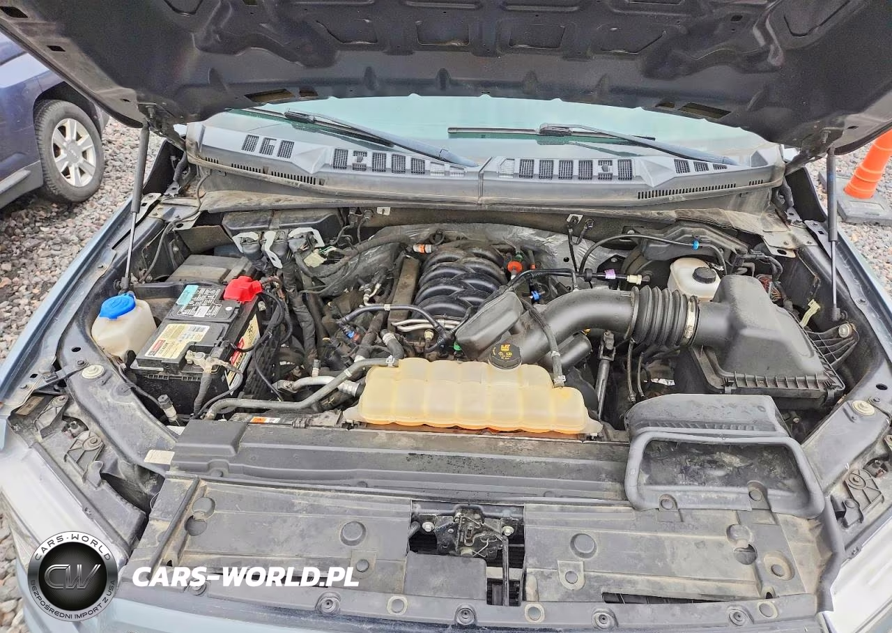 2019 Ford F150 Supercrew VIN:1FTEW1E59KKC28388 - 11