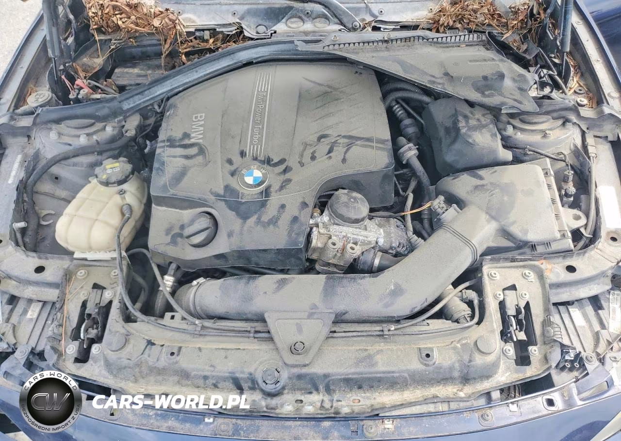 2015 BMW 335 Xi VIN:WBA3B9G52FNR94446 - 11