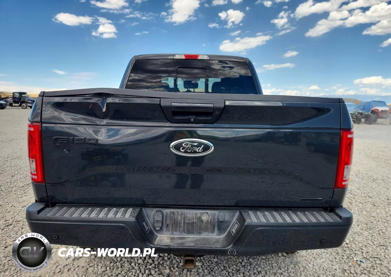 2016 Ford F150 Supercrew VIN:1FTEW1CF7GFD45530 - 6