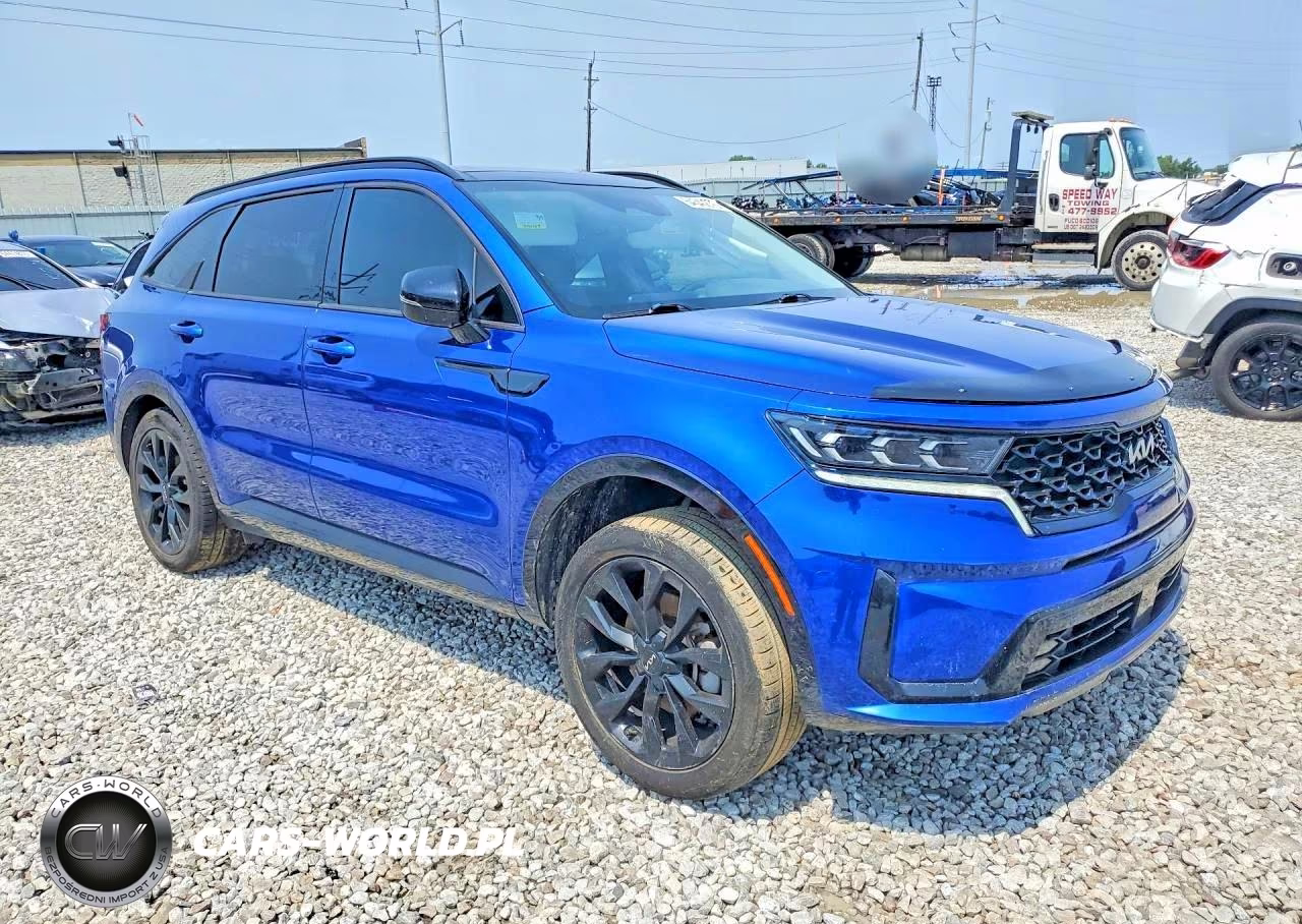 2022 Kia Sorento Sx VIN:5XYRKDLFXNG150014 - 4