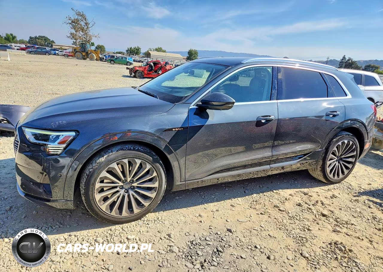 2019 Audi E-Tron Prestige