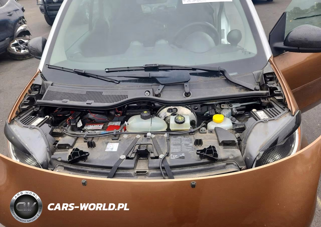 2016 Smart Fortwo VIN:WMEFJ5DAXGK062528 - 11