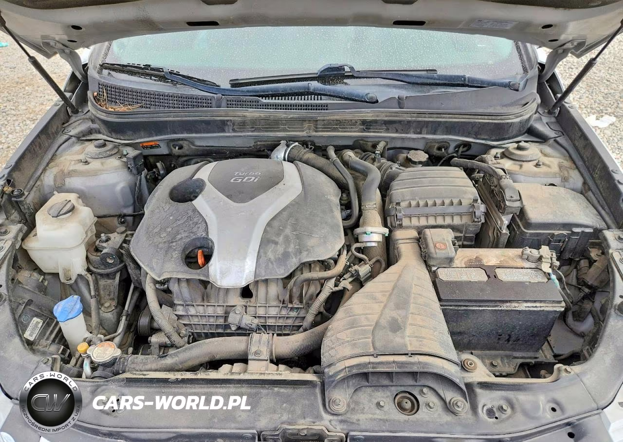 2014 Hyundai Sonata Limited 2.0T VIN:5NPEC4AB7EH870441 - 11