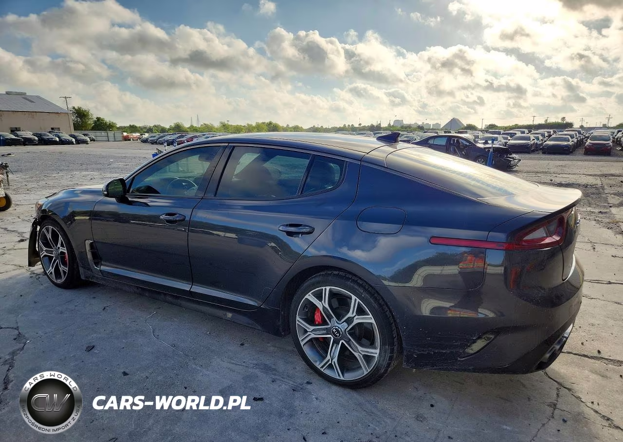 2020 Kia Stinger Gt VIN:KNAE35LC4L6078456 - 2