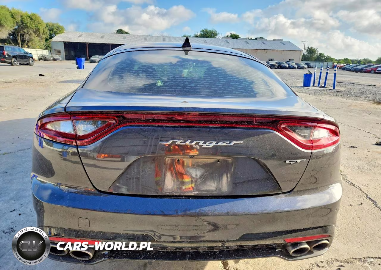 2020 Kia Stinger Gt VIN:KNAE35LC4L6078456 - 6