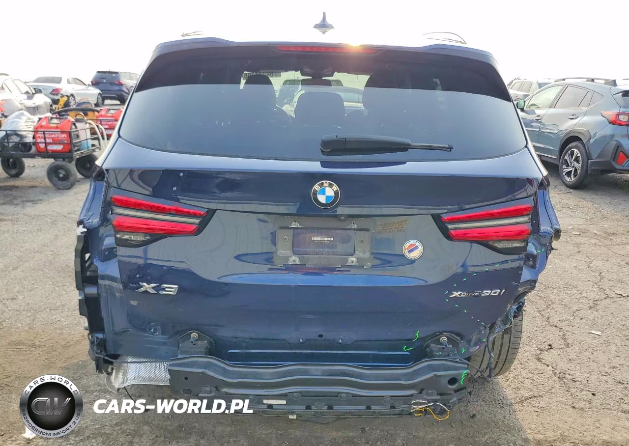 2022 BMW X3 xDrive30I VIN:5UX53DP03N9K86373 - 6