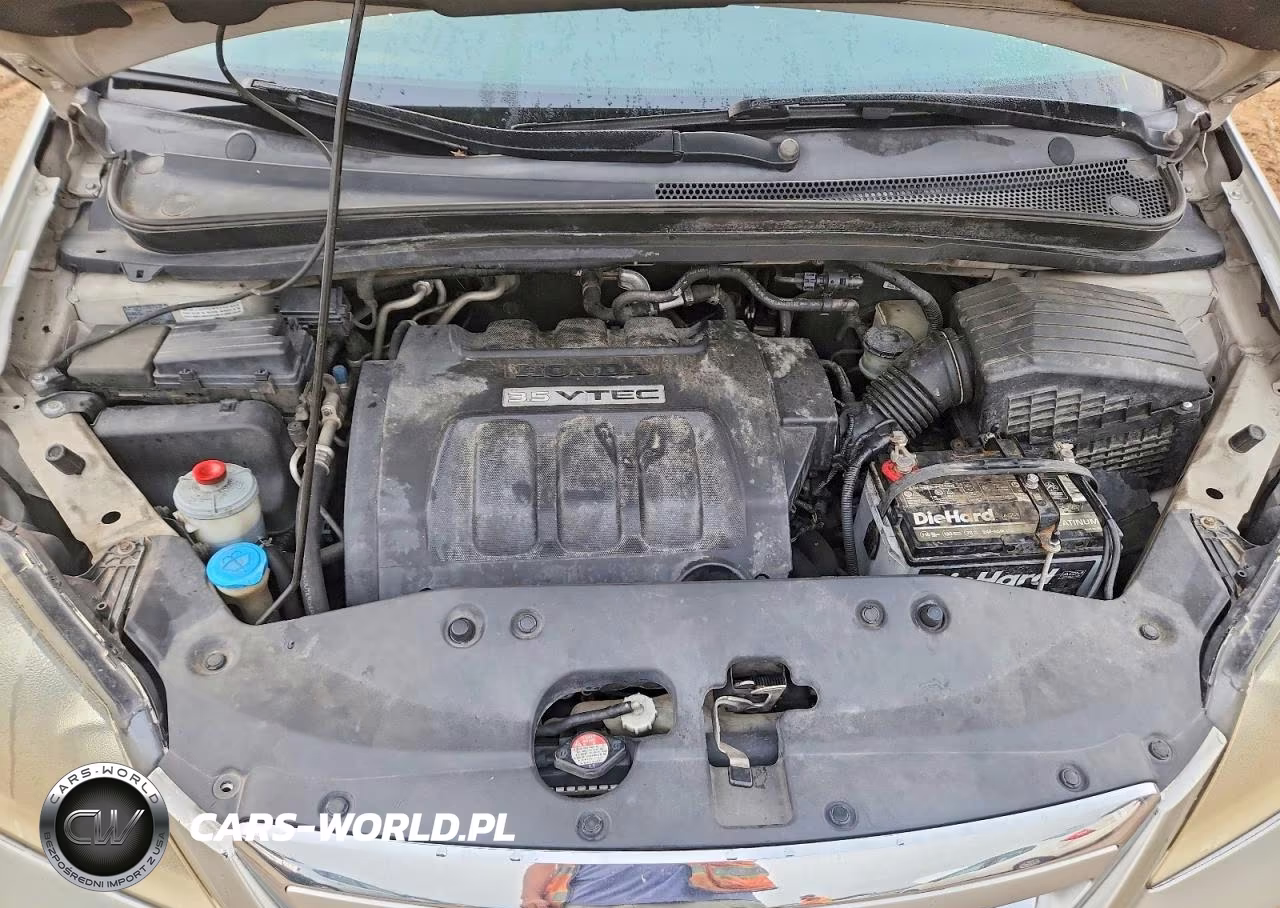 2006 Honda Odyssey Exl VIN:5FNRL38746B416824 - 11