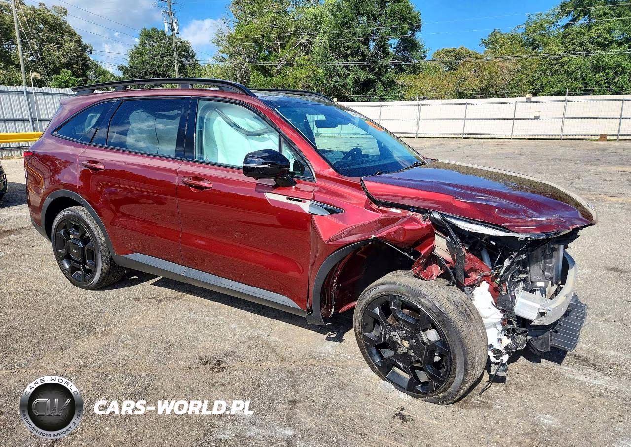 2024 Kia Sorento X-Line Sx VIN:5XYRKDJF7RG296492 - 4