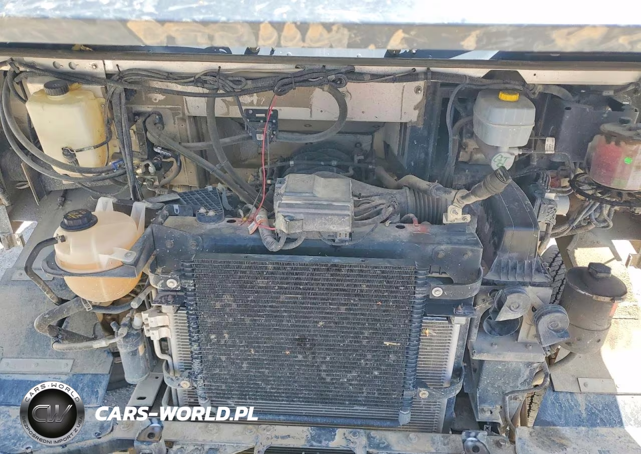 2020 Ford F59 Delivery Truck VIN:1F65F5KN8L0A06291 - 12