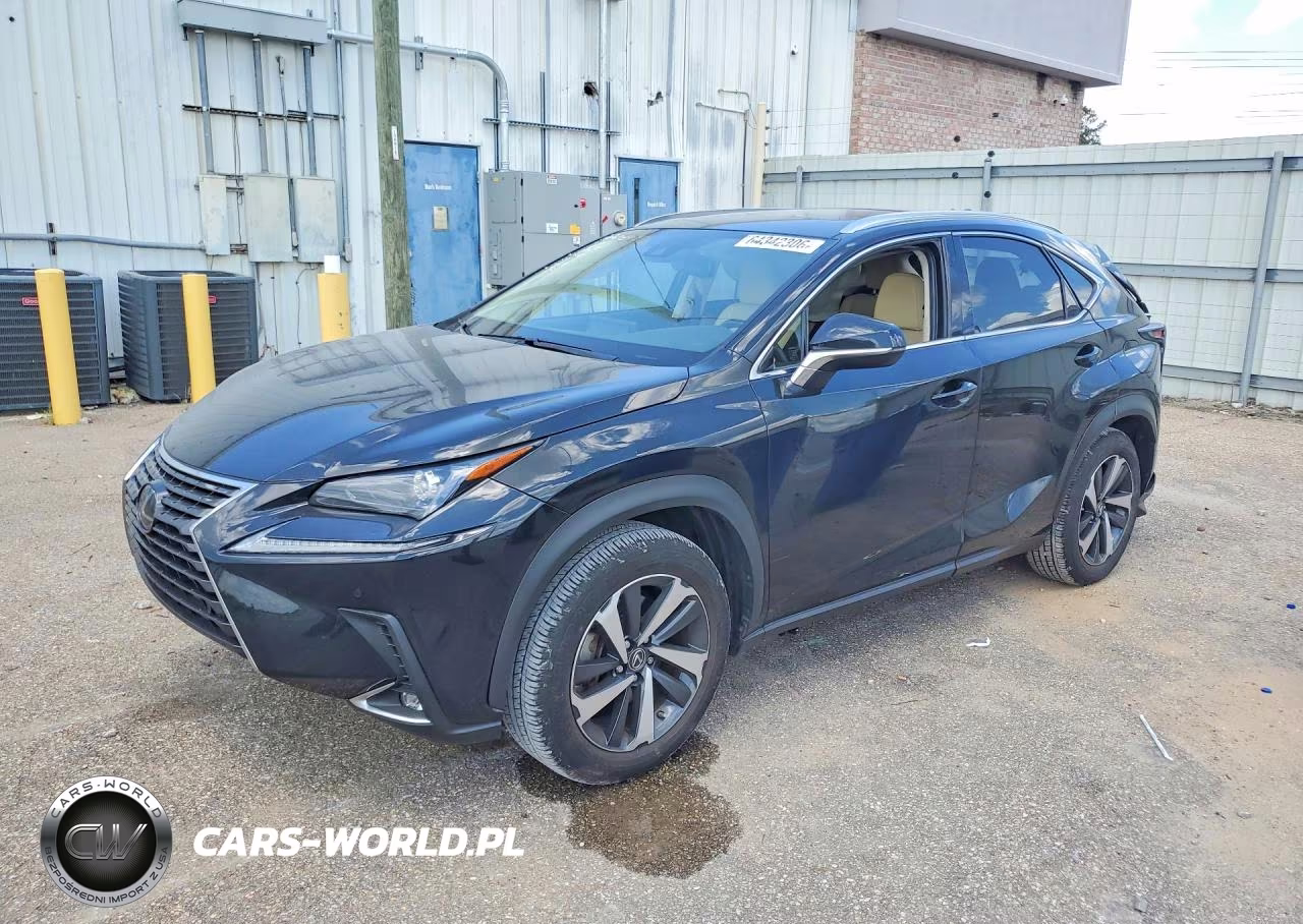2021 Lexus Nx 300 Base VIN:JTJGARBZ1M5033932 - 1