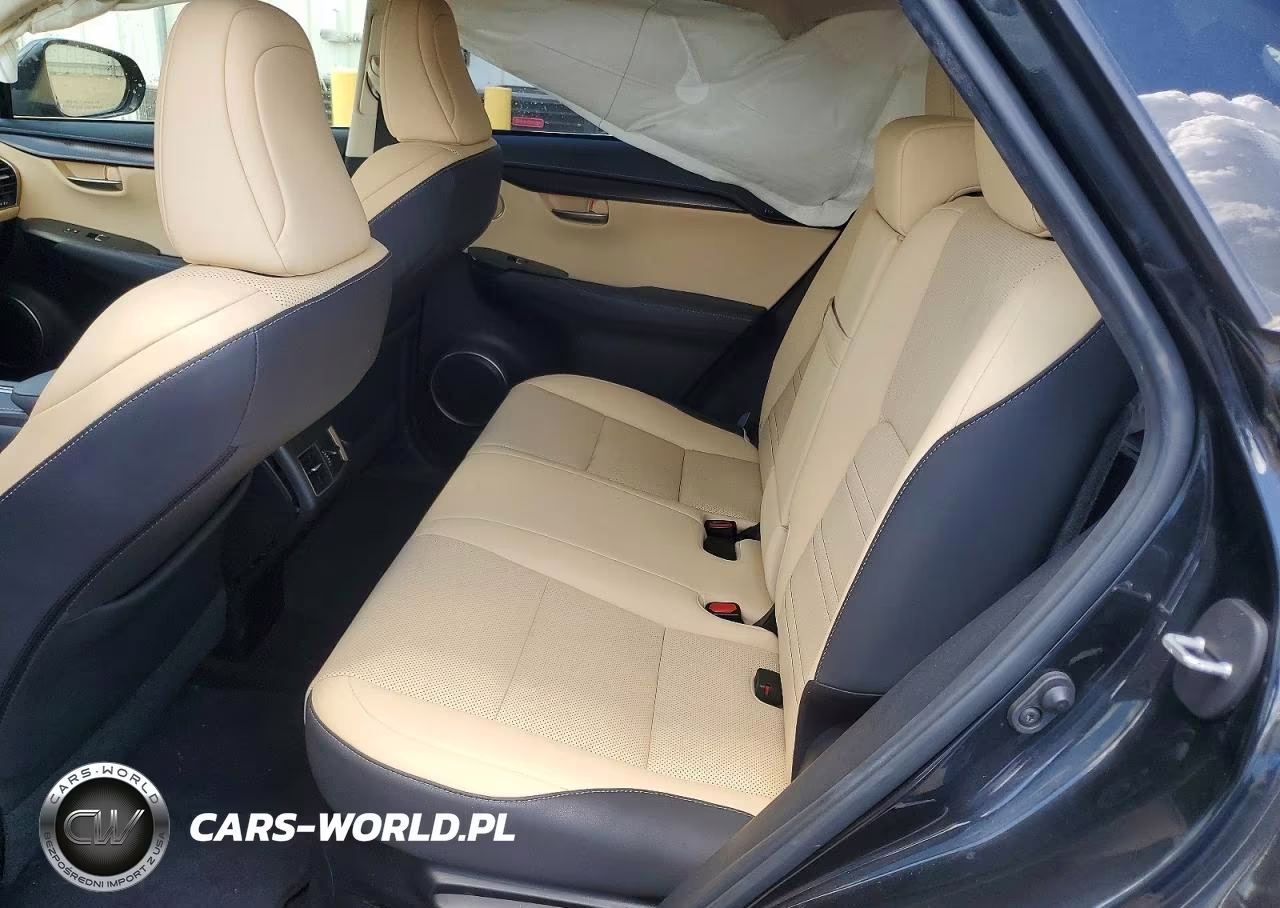 2021 Lexus Nx 300 Base VIN:JTJGARBZ1M5033932 - 10